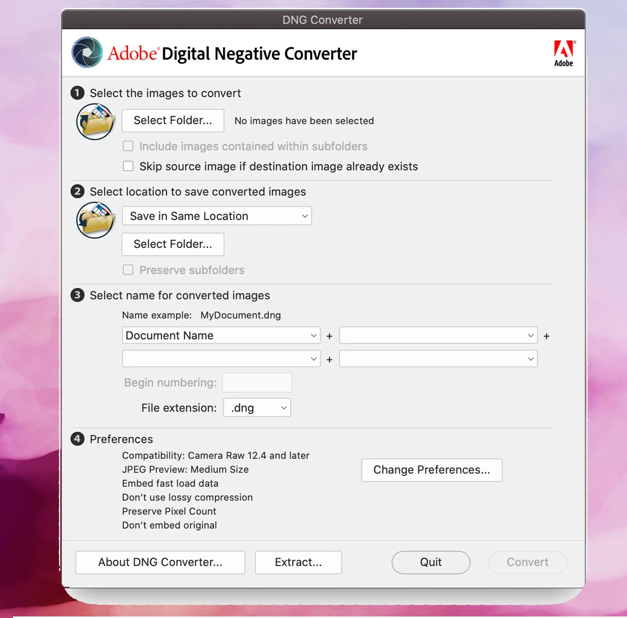 Adobe DNG Converter Screenshot, Konvertieren Sie DNG-Bilder in JPEG..