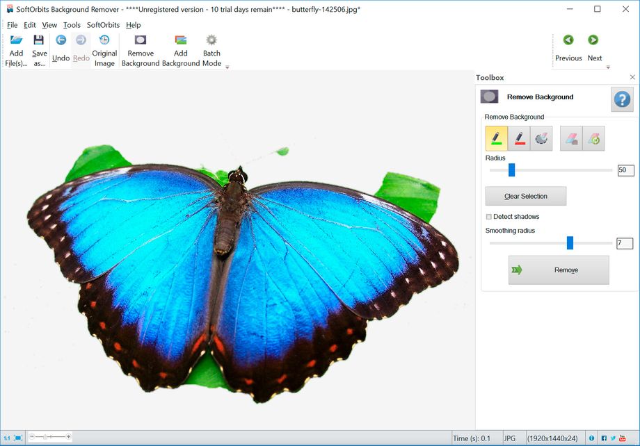 Software zum Entfernen von Fotohintergründen | Kostenloser Download